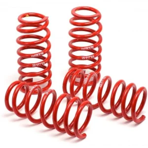 H&R 05-10 Volkswagen Jetta/Jetta SportWagen 2.5L/1.9L TDI/2.0T MK5 Race Spring