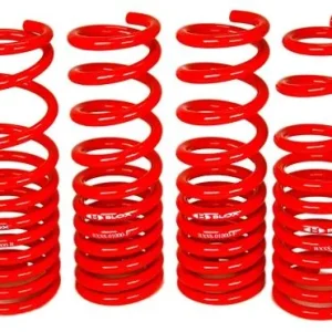 BLOX Racing 06-11 Honda Civic Lowering Springs
