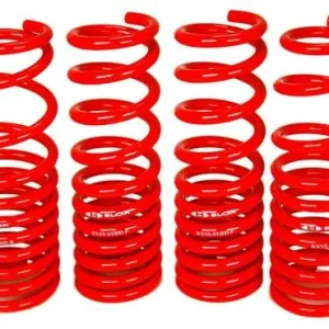 BLOX Racing Lowering Springs 96-00 Honda Civic