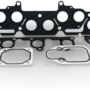 MAHLE Original Dodge Ram 2500 10-07 Intake Manifold Set