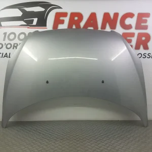 KAPOTTI PEUGEOT 307