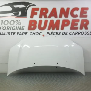 KAPOTTI RENAULT TWINGO 3