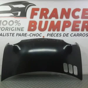 KAPOTTI RENAULT TWINGO 2 BRUT