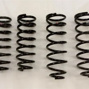 RS-R 01-06 Lexus LS430 (UCF30/31) Down Sus Springs
