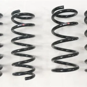 RS-R 03-09 Nissan 350Z (Z33) Down Sus Springs